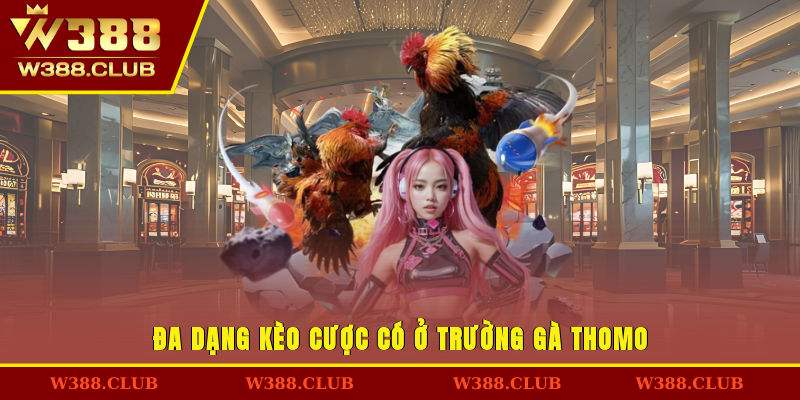 Đa dạng kèo cược có ở trường gà Thomo