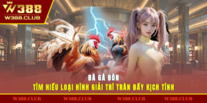Đá Gà Đòn - Tìm Hiểu Loại Hình Giải Trí Tràn Đầy Kịch Tính