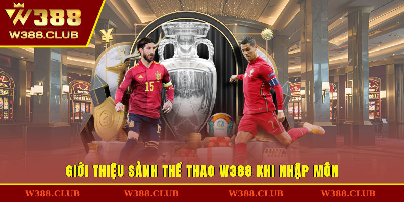 Giới thiệu sảnh thể thao W388 khi nhập môn