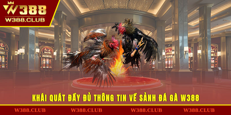 Khái quát đầy đủ thông tin về sảnh Đá gà W388