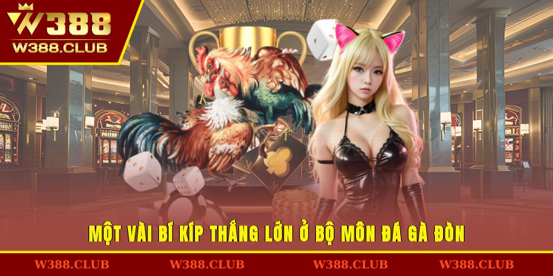 Một vài bí kíp thắng lớn ở bộ môn đá gà đòn