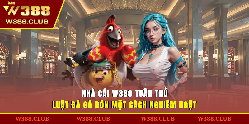 Nhà cái W388 tuân thủ luật đá gà đòn một cách nghiêm ngặt
