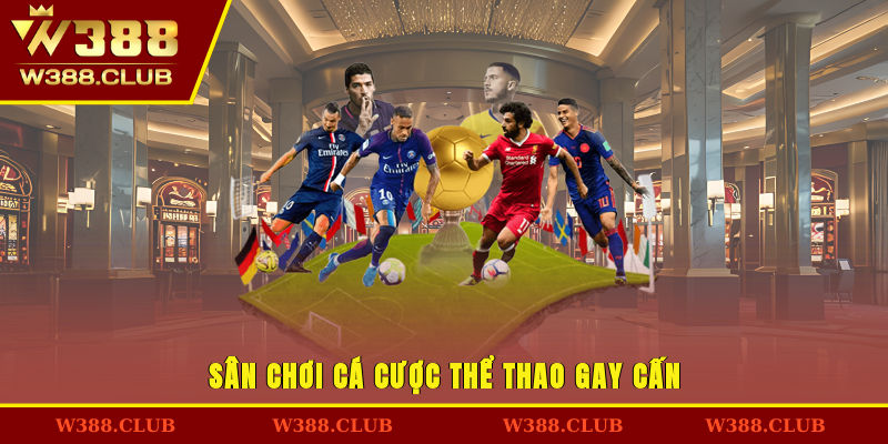 Sân chơi cá cược thể thao hấp dẫn và vô cùng gay cấn 