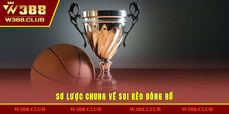 Sơ lược chung về soi kèo bóng rổ