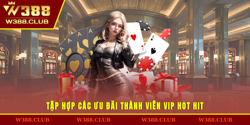 Tập hợp các ưu đãi thành viên VIP hot hit
