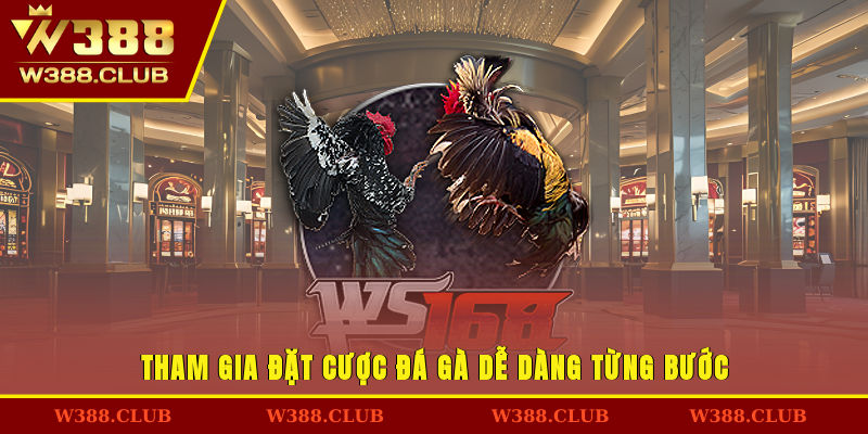Tham gia đặt cược đá gà dễ dàng từng bước