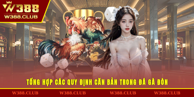 Tổng hợp các quy định căn bản trong đá gà đòn