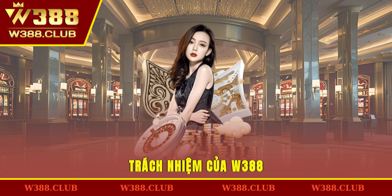 Trách nhiệm của W388