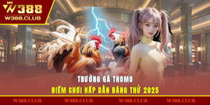 Trường Gà Thomo - Điểm Chơi Hấp Dẫn Đáng Thử 2025