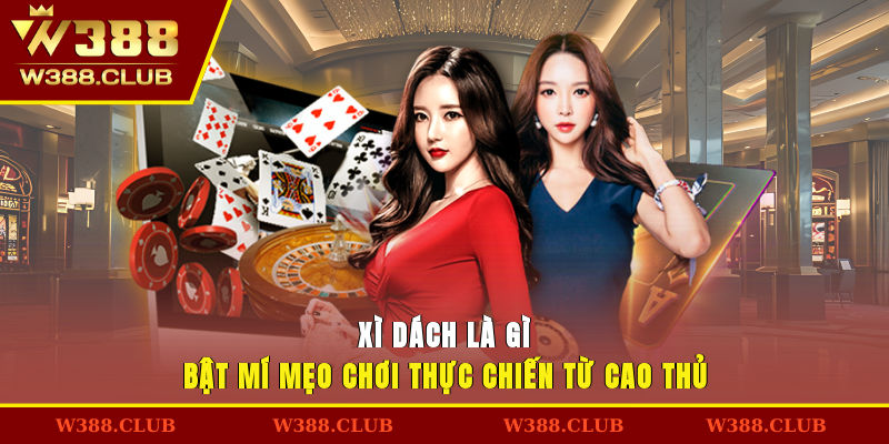 Xì Dách Là Gì? Bật Mí Mẹo Chơi Thực Chiến Từ Cao Thủ